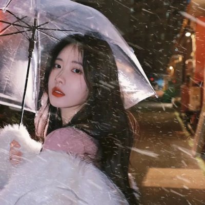 爱宠大机密2